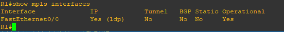 r1-sh-mpls-interfaces.png