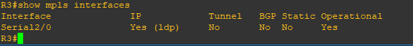 r3-sh-mpls-interfaces.png