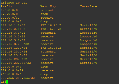 r3-show-ip-cef.png